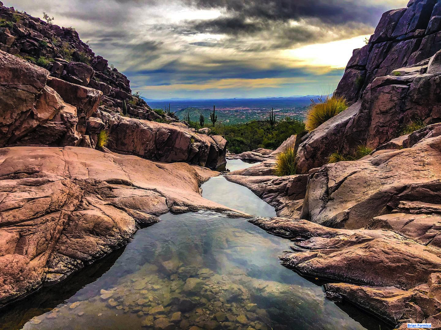 Credit Brian Formica Feb 9, 2020